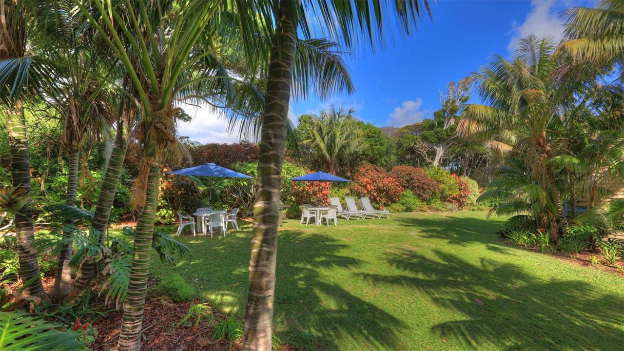 The Broken Banyan Διαμέρισμα Lord Howe Island Εξωτερικό φωτογραφία